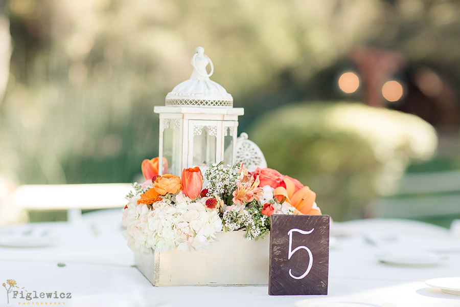 Temecula Creek Inn Wedding Planner