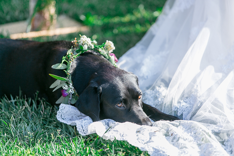 Lake Oak Meadows Wedding